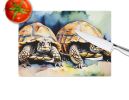 NEW Turtles Tortoises Glass Cutting Board Decorative Tempered Glass Kitchen Cutting and Serving Board Large Size Chopping Board