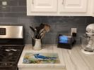 NEW Blue Jay Glass Cutting Board Decorative Tempered Glass Kitchen Cutting and Serving Board Large Size Chopping Board