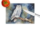 NEW Snowy Owl Glass Cutting Board Decorative Tempered Glass Kitchen Cutting and Serving Board Large Size Chopping Board
