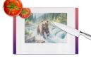 Alaskan Wilderness Grizzly Bear Glass Cutting Board Decorative Tempered Glass Kitchen Cutting and Serving Board Large Size Chopping Board