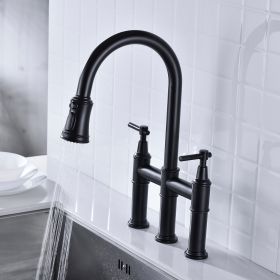Pull Down Dual Handle Kitchen Faucet