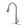 Kitchen Faucet with Pull Down Sprayer