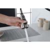 Kitchen Faucet with Pull Down Sprayer